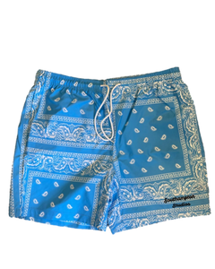 Paisley Board Shorts - Sky Blue