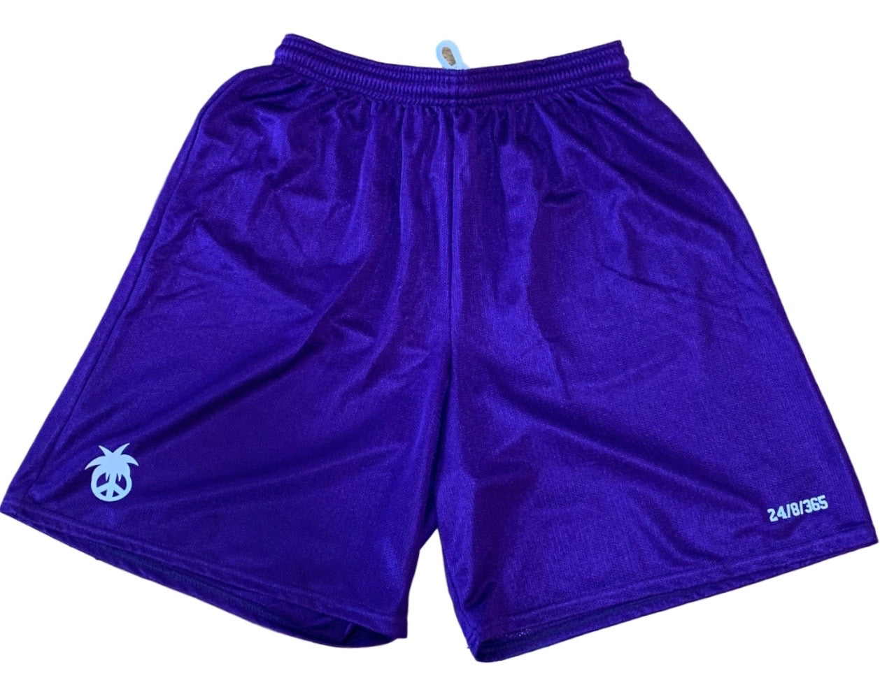 Lake Shorts - Purple
